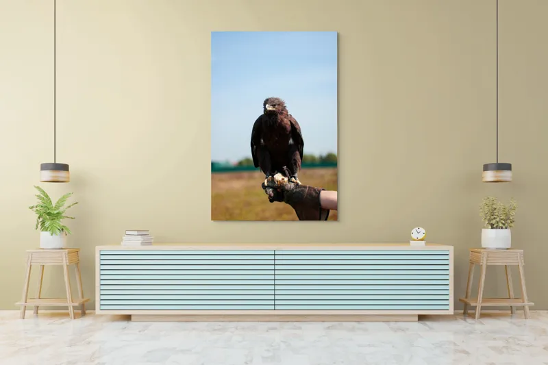 Tablou Canvas, "Privirea liberă a vulturului", Pasăre, Mănușă, Cer, Natură, Vedere, Penaj, Pradă, Privire., 100 x 150 cm – poza 4