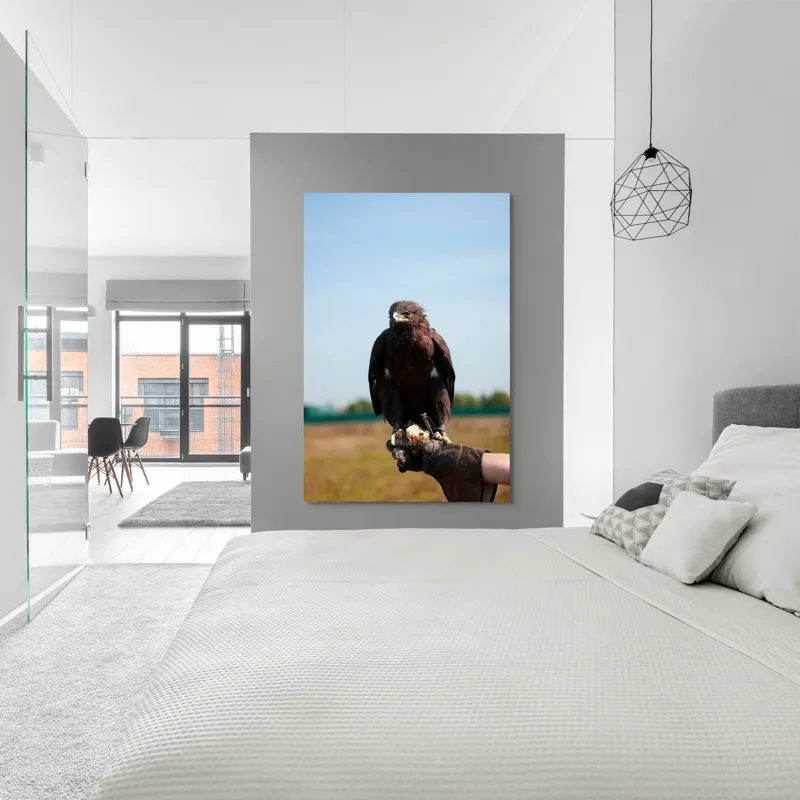 Tablou Canvas, "Privirea liberă a vulturului", Pasăre, Mănușă, Cer, Natură, Vedere, Penaj, Pradă, Privire., 100 x 150 cm – poza 5