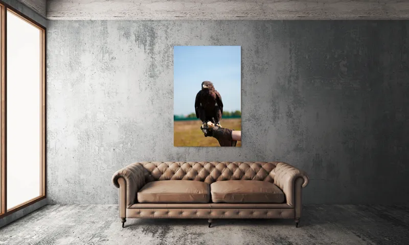 Tablou Canvas, "Privirea liberă a vulturului", Pasăre, Mănușă, Cer, Natură, Vedere, Penaj, Pradă, Privire., 100 x 150 cm – poza 6
