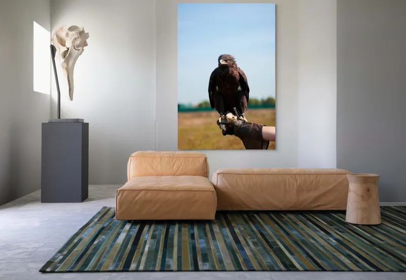 Tablou Canvas, "Privirea liberă a vulturului", Pasăre, Mănușă, Cer, Natură, Vedere, Penaj, Pradă, Privire., 100 x 150 cm – poza 7
