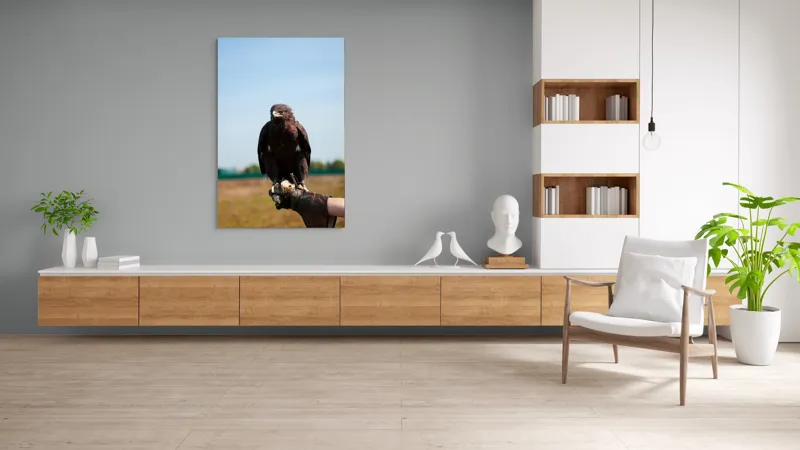 Tablou Canvas, "Privirea liberă a vulturului", Pasăre, Mănușă, Cer, Natură, Vedere, Penaj, Pradă, Privire., 100 x 150 cm – poza 8
