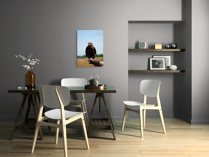 Tablou Canvas, "Privirea liberă a vulturului", Pasăre, Mănușă, Cer, Natură, Vedere, Penaj, Pradă, Privire., 50 x 70 cm – poza 5