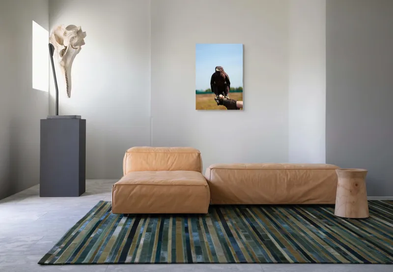 Tablou Canvas, "Privirea liberă a vulturului", Pasăre, Mănușă, Cer, Natură, Vedere, Penaj, Pradă, Privire., 50 x 70 cm – poza 7