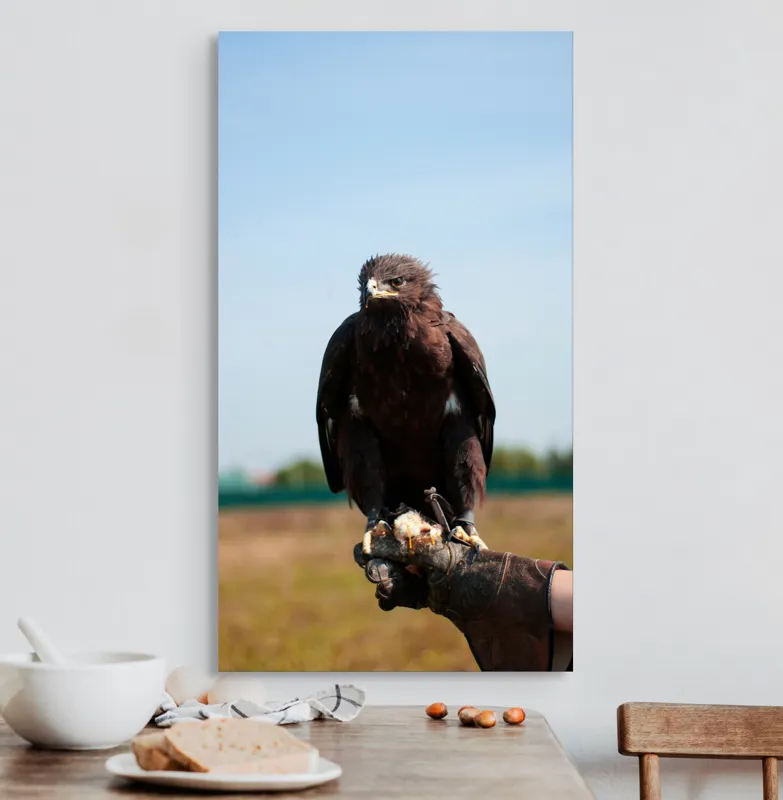 Tablou Canvas, "Privirea liberă a vulturului", Pasăre, Mănușă, Cer, Natură, Vedere, Penaj, Pradă, Privire., 50 x 90 cm – poza 3