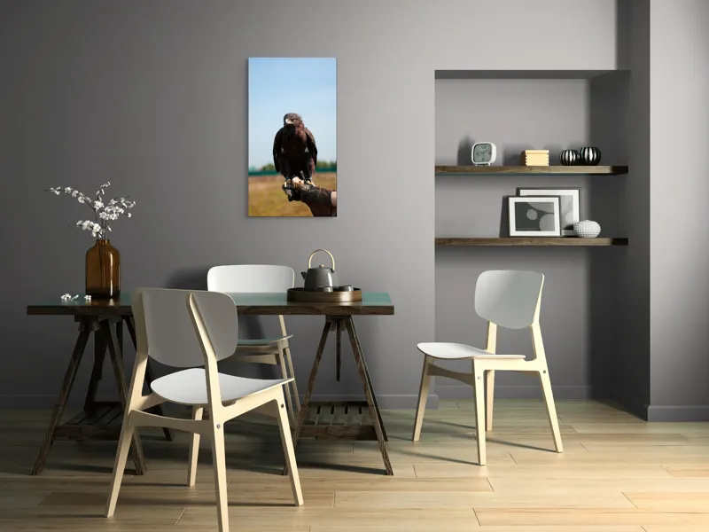 Tablou Canvas, "Privirea liberă a vulturului", Pasăre, Mănușă, Cer, Natură, Vedere, Penaj, Pradă, Privire., 50 x 90 cm – poza 4