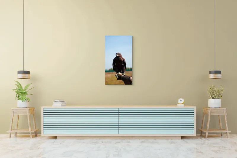 Tablou Canvas, "Privirea liberă a vulturului", Pasăre, Mănușă, Cer, Natură, Vedere, Penaj, Pradă, Privire., 50 x 90 cm – poza 6