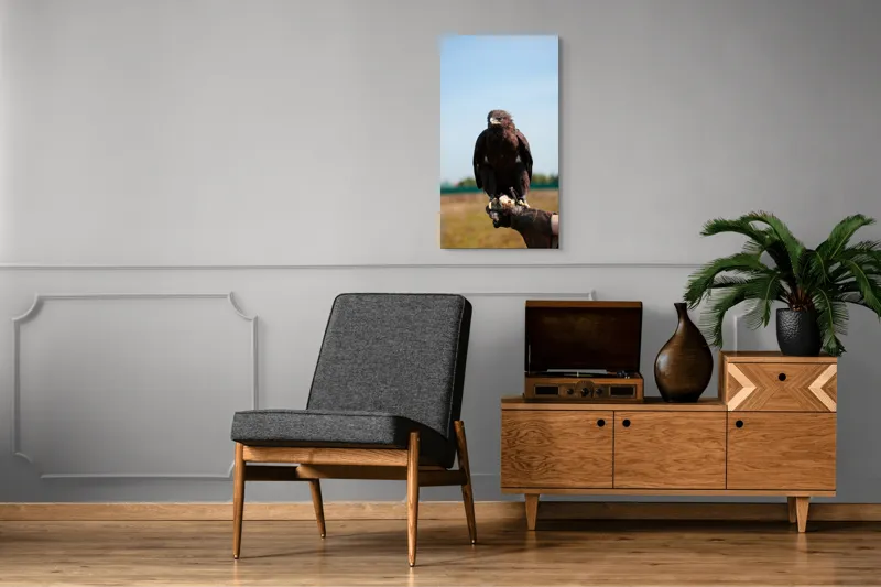 Tablou Canvas, "Privirea liberă a vulturului", Pasăre, Mănușă, Cer, Natură, Vedere, Penaj, Pradă, Privire., 50 x 90 cm – poza 8
