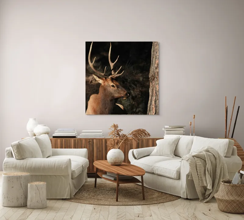 Tablou Canvas, "Cerbul odihnindu-se în lumina serii", Cerb, Coarne, Odihnă, Pădure, Natură, Sălbăticie, Solitudine, Eleganță, Lumină, Umbre, 100 x 100 cm – poza 3