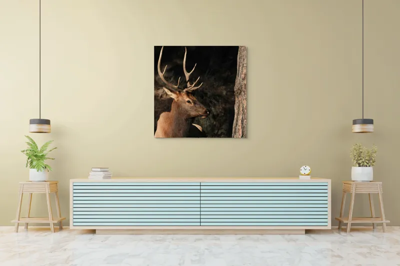 Tablou Canvas, "Cerbul odihnindu-se în lumina serii", Cerb, Coarne, Odihnă, Pădure, Natură, Sălbăticie, Solitudine, Eleganță, Lumină, Umbre, 100 x 100 cm – poza 5