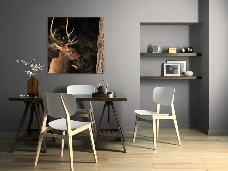 Tablou Canvas, "Cerbul odihnindu-se în lumina serii", Cerb, Coarne, Odihnă, Pădure, Natură, Sălbăticie, Solitudine, Eleganță, Lumină, Umbre, 100 x 100 cm – poza 6