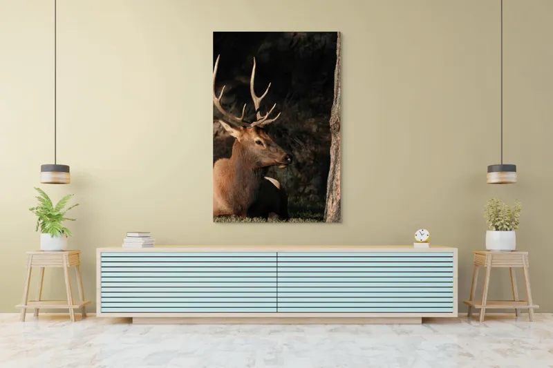 Tablou Canvas, "Cerbul odihnindu-se în lumina serii", Cerb, Coarne, Odihnă, Pădure, Natură, Sălbăticie, Solitudine, Eleganță, Lumină, Umbre, 100 x 150 cm – poza 4