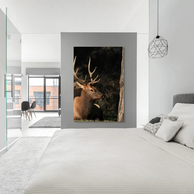 Tablou Canvas, "Cerbul odihnindu-se în lumina serii", Cerb, Coarne, Odihnă, Pădure, Natură, Sălbăticie, Solitudine, Eleganță, Lumină, Umbre, 100 x 150 cm – poza 5