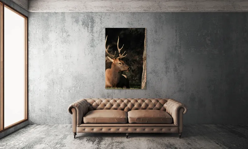 Tablou Canvas, "Cerbul odihnindu-se în lumina serii", Cerb, Coarne, Odihnă, Pădure, Natură, Sălbăticie, Solitudine, Eleganță, Lumină, Umbre, 100 x 150 cm – poza 6