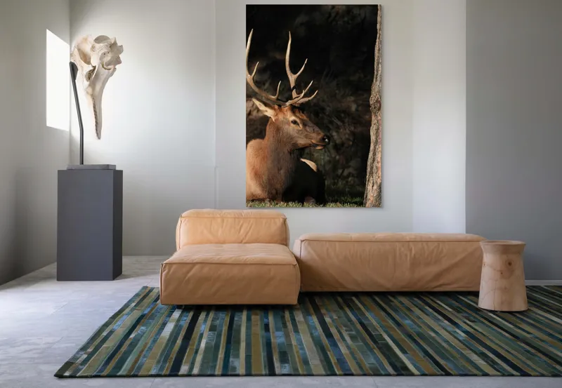 Tablou Canvas, "Cerbul odihnindu-se în lumina serii", Cerb, Coarne, Odihnă, Pădure, Natură, Sălbăticie, Solitudine, Eleganță, Lumină, Umbre, 100 x 150 cm – poza 7
