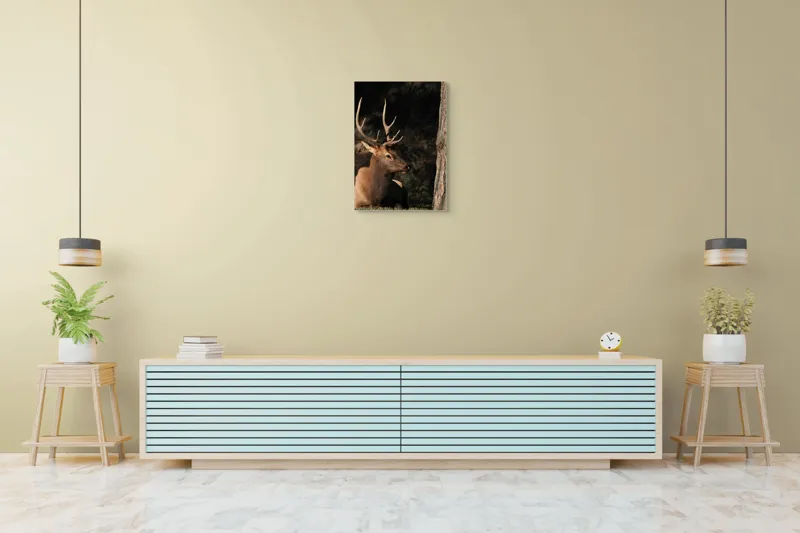 Tablou Canvas, "Cerbul odihnindu-se în lumina serii", Cerb, Coarne, Odihnă, Pădure, Natură, Sălbăticie, Solitudine, Eleganță, Lumină, Umbre, 50 x 70 cm – poza 6