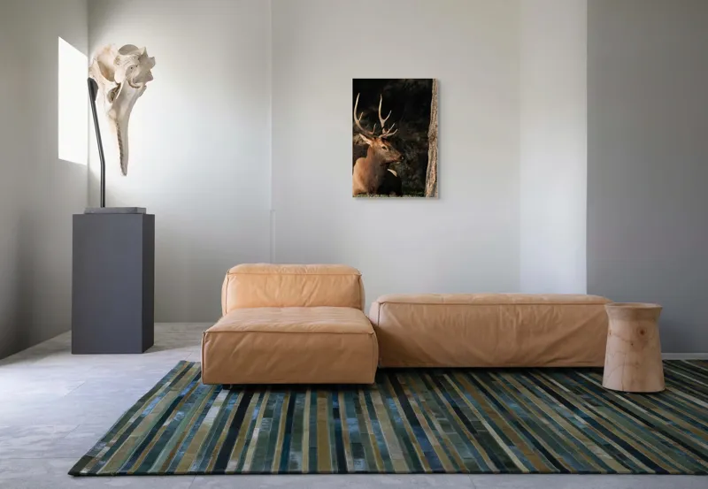 Tablou Canvas, "Cerbul odihnindu-se în lumina serii", Cerb, Coarne, Odihnă, Pădure, Natură, Sălbăticie, Solitudine, Eleganță, Lumină, Umbre, 50 x 70 cm – poza 7
