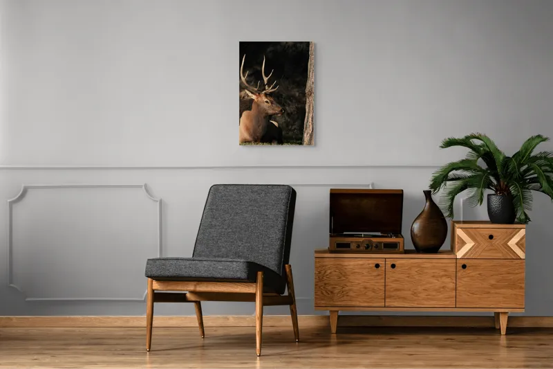 Tablou Canvas, "Cerbul odihnindu-se în lumina serii", Cerb, Coarne, Odihnă, Pădure, Natură, Sălbăticie, Solitudine, Eleganță, Lumină, Umbre, 50 x 70 cm – poza 8