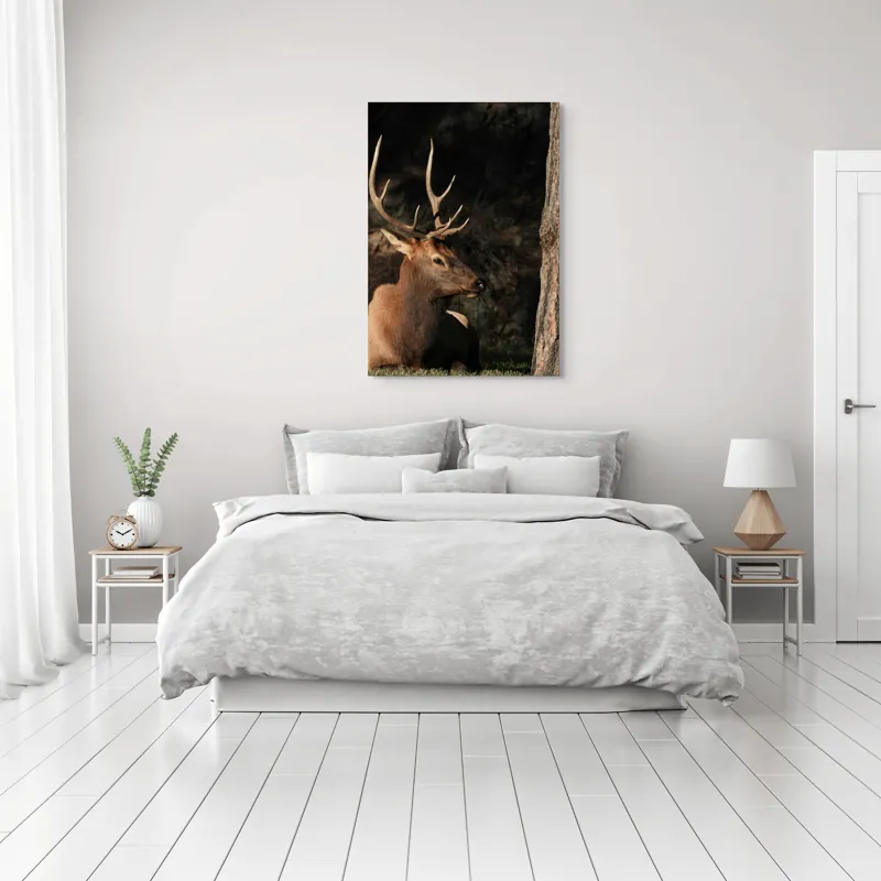 Tablou Canvas, "Cerbul odihnindu-se în lumina serii", Cerb, Coarne, Odihnă, Pădure, Natură, Sălbăticie, Solitudine, Eleganță, Lumină, Umbre, 70 x 100 cm – poza 3