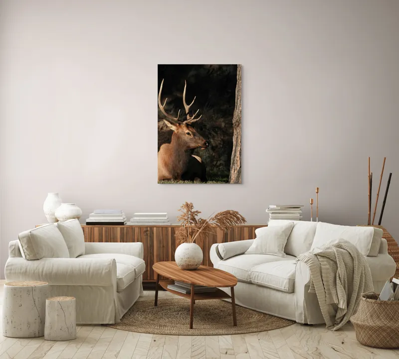 Tablou Canvas, "Cerbul odihnindu-se în lumina serii", Cerb, Coarne, Odihnă, Pădure, Natură, Sălbăticie, Solitudine, Eleganță, Lumină, Umbre, 70 x 100 cm – poza 4