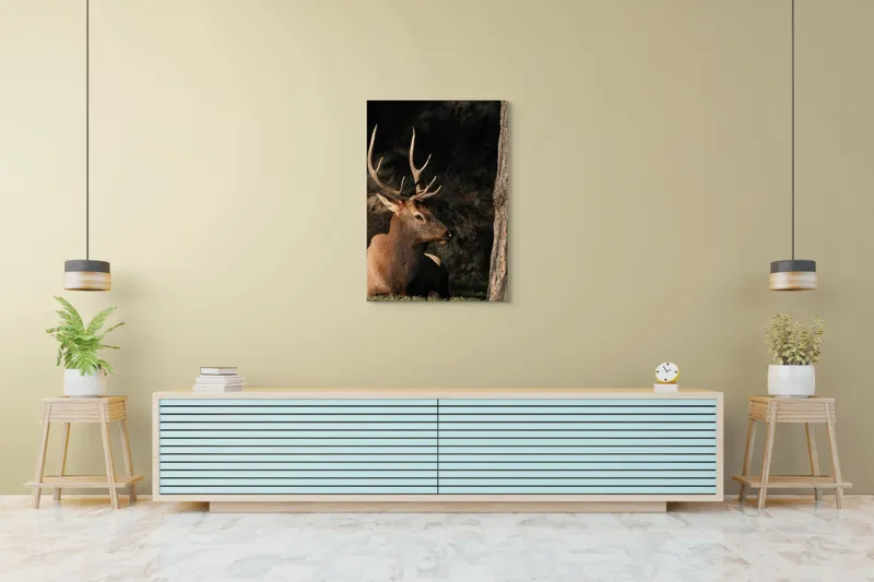 Tablou Canvas, "Cerbul odihnindu-se în lumina serii", Cerb, Coarne, Odihnă, Pădure, Natură, Sălbăticie, Solitudine, Eleganță, Lumină, Umbre, 70 x 100 cm – poza 5