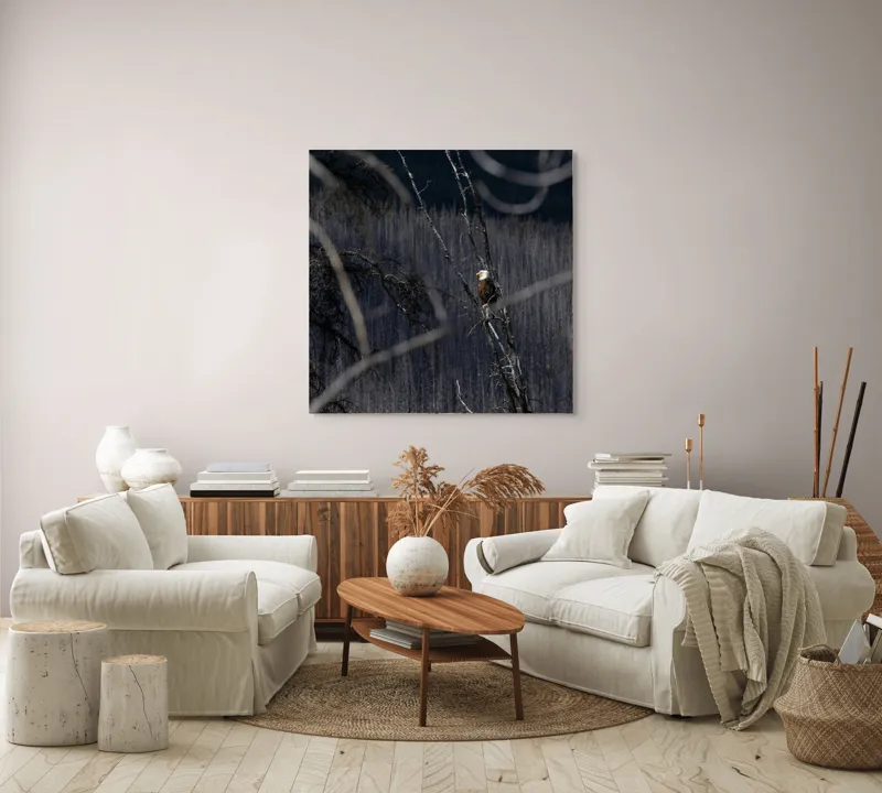 Tablou Canvas, "Vulturul stăpânind pădurea tăcută", Vultur, Ramură, Cer, Natură, Pădure, Vedere, Sălbăticie, Frumusețe, Singurătate, Impunător, 100 x 100 cm – poza 3