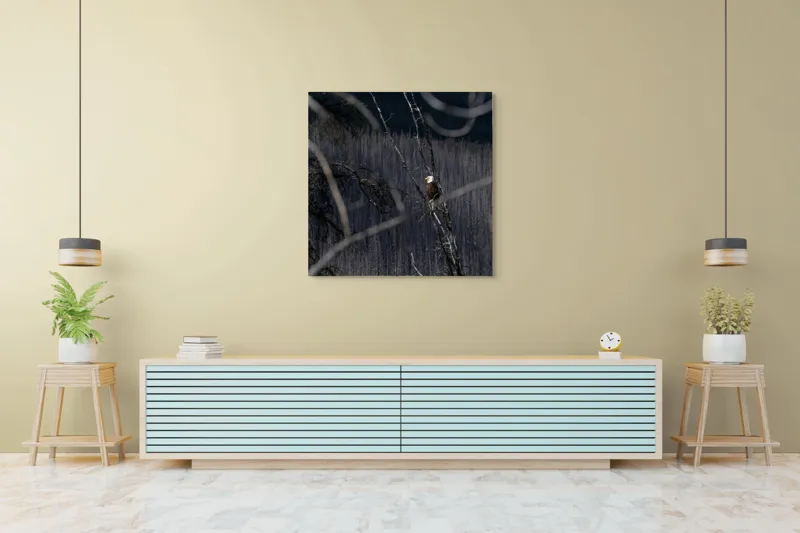 Tablou Canvas, "Vulturul stăpânind pădurea tăcută", Vultur, Ramură, Cer, Natură, Pădure, Vedere, Sălbăticie, Frumusețe, Singurătate, Impunător, 100 x 100 cm – poza 5
