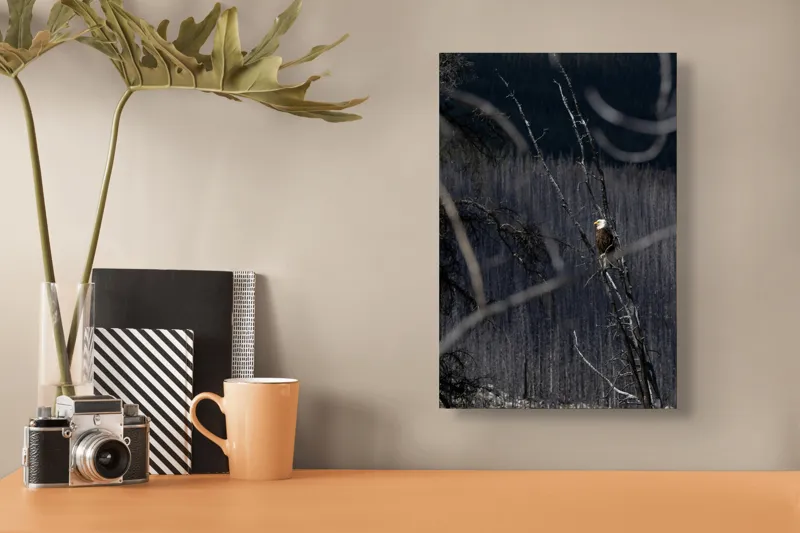 Tablou Canvas, "Vulturul stăpânind pădurea tăcută", Vultur, Ramură, Cer, Natură, Pădure, Vedere, Sălbăticie, Frumusețe, Singurătate, Impunător, 26 x 39 cm – poza 3