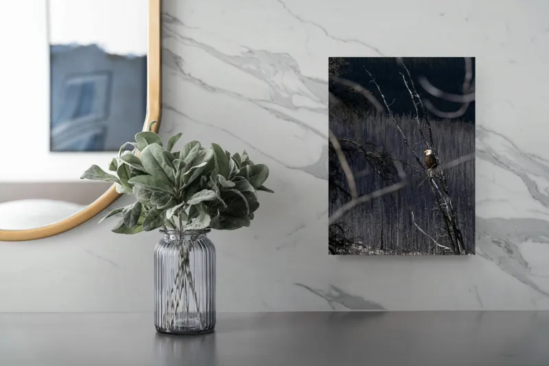 Tablou Canvas, "Vulturul stăpânind pădurea tăcută", Vultur, Ramură, Cer, Natură, Pădure, Vedere, Sălbăticie, Frumusețe, Singurătate, Impunător, 26 x 39 cm – poza 4