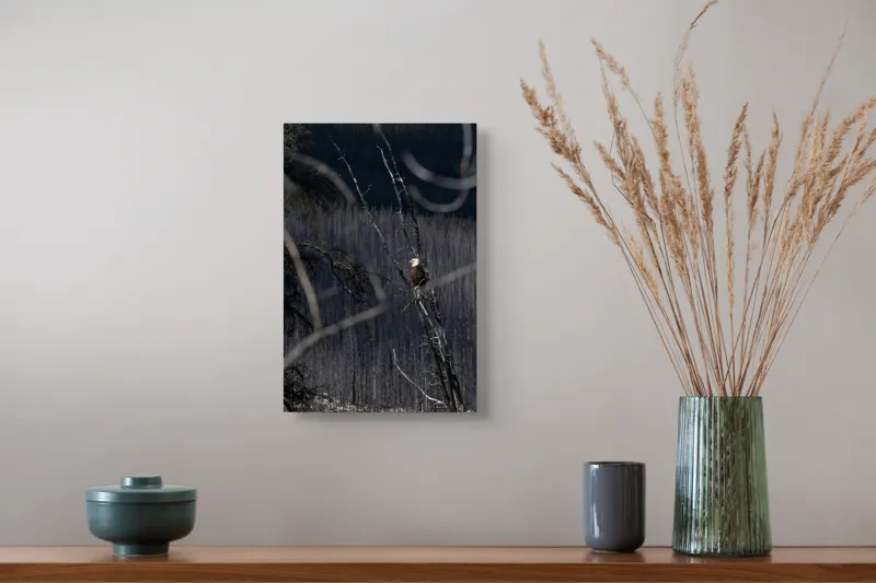 Tablou Canvas, "Vulturul stăpânind pădurea tăcută", Vultur, Ramură, Cer, Natură, Pădure, Vedere, Sălbăticie, Frumusețe, Singurătate, Impunător, 26 x 39 cm – poza 5