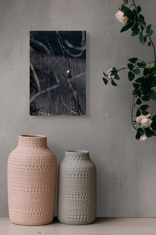 Tablou Canvas, "Vulturul stăpânind pădurea tăcută", Vultur, Ramură, Cer, Natură, Pădure, Vedere, Sălbăticie, Frumusețe, Singurătate, Impunător, 26 x 39 cm – poza 6