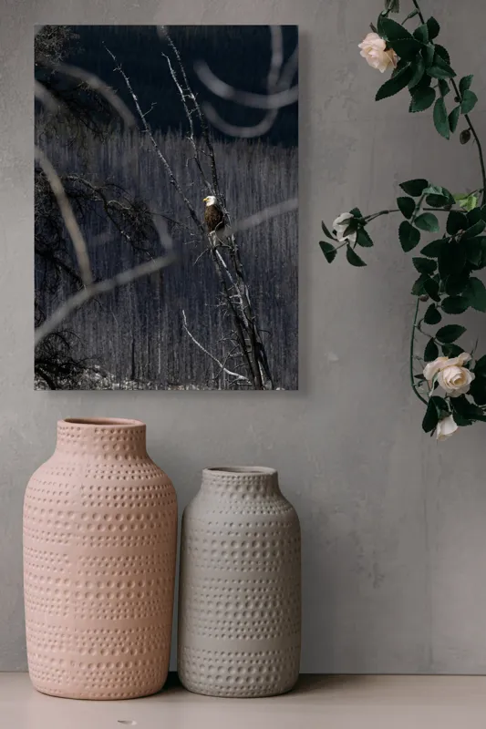 Tablou Canvas, "Vulturul stăpânind pădurea tăcută", Vultur, Ramură, Cer, Natură, Pădure, Vedere, Sălbăticie, Frumusețe, Singurătate, Impunător, 39 x 54 cm – poza 6
