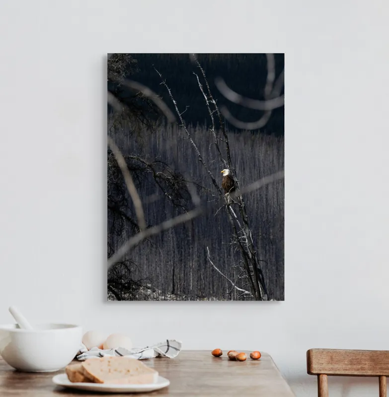 Tablou Canvas, "Vulturul stăpânind pădurea tăcută", Vultur, Ramură, Cer, Natură, Pădure, Vedere, Sălbăticie, Frumusețe, Singurătate, Impunător, 50 x 70 cm – poza 3