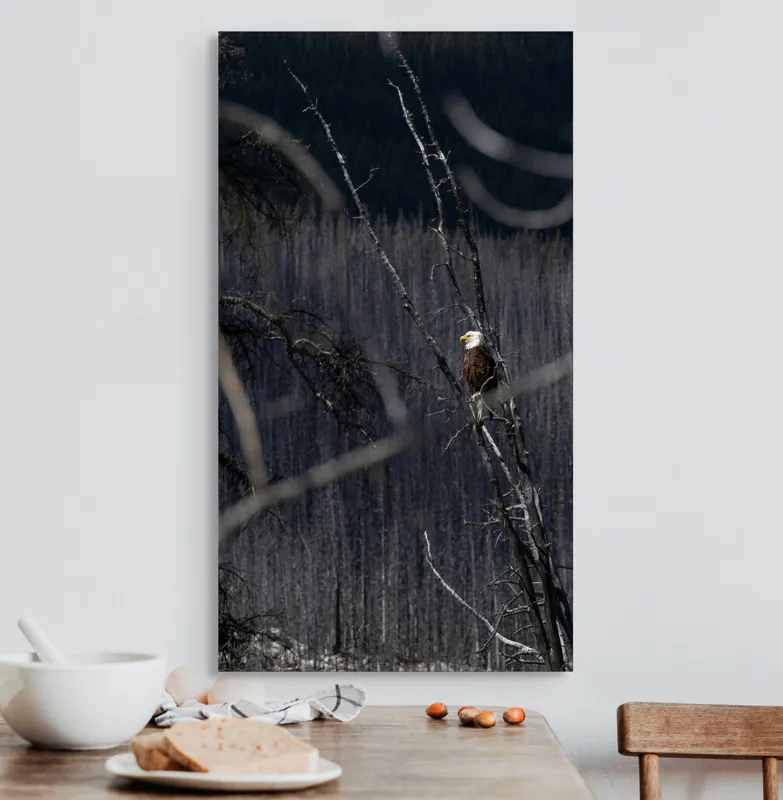 Tablou Canvas, "Vulturul stăpânind pădurea tăcută", Vultur, Ramură, Cer, Natură, Pădure, Vedere, Sălbăticie, Frumusețe, Singurătate, Impunător, 50 x 90 cm – poza 3