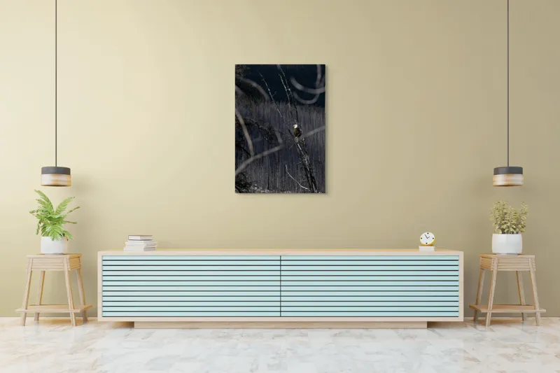 Tablou Canvas, "Vulturul stăpânind pădurea tăcută", Vultur, Ramură, Cer, Natură, Pădure, Vedere, Sălbăticie, Frumusețe, Singurătate, Impunător, 70 x 100 cm – poza 5