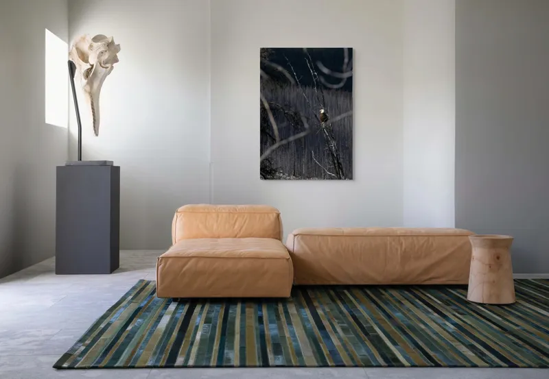 Tablou Canvas, "Vulturul stăpânind pădurea tăcută", Vultur, Ramură, Cer, Natură, Pădure, Vedere, Sălbăticie, Frumusețe, Singurătate, Impunător, 70 x 100 cm – poza 7