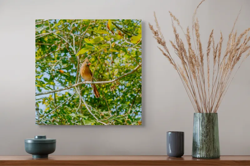 Tablou Canvas, "Pasăre cântătoare în frunzișul verde", Verde, Frunziș, Pasăre, Ramuri, Cer, Natură, Primăvară, 50 x 50 cm – poza 4
