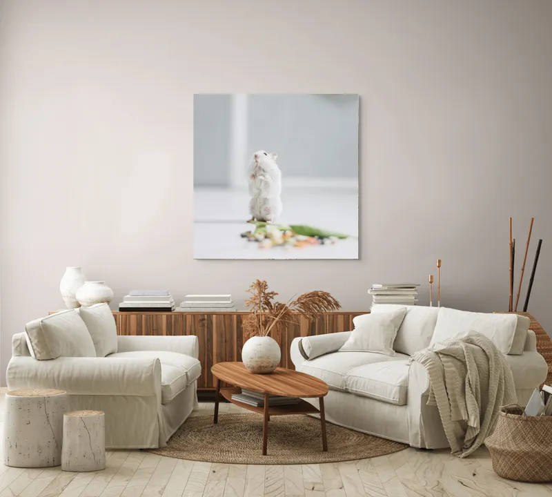 Tablou Canvas, "Un hamster explorând împrejurimile casei", Neștiind Cine Este, Mic, Blănos, Isteț, Curios, Delicat, Drăguț, Fragil, Alb, Șoricesc., 100 x 100 cm – poza 3