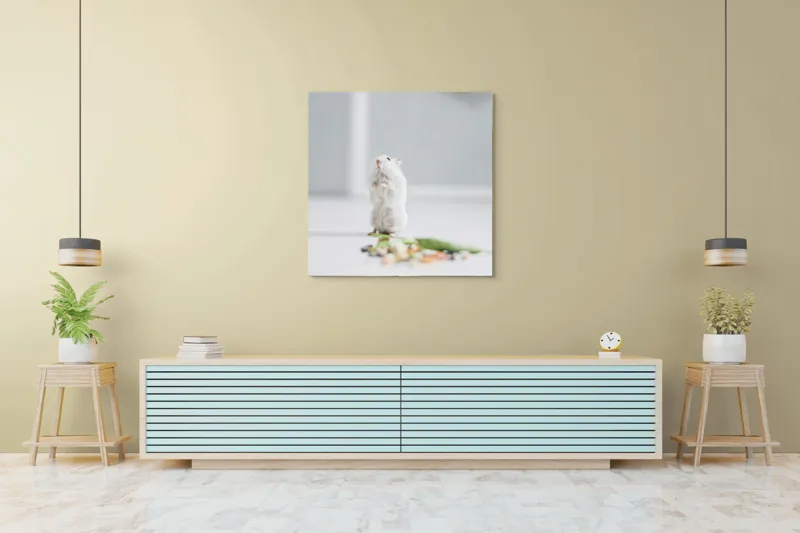Tablou Canvas, "Un hamster explorând împrejurimile casei", Neștiind Cine Este, Mic, Blănos, Isteț, Curios, Delicat, Drăguț, Fragil, Alb, Șoricesc., 100 x 100 cm – poza 5