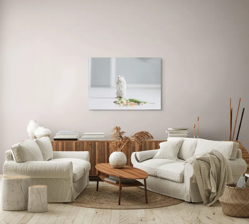 Tablou Canvas, "Un hamster explorând împrejurimile casei", Neștiind Cine Este, Mic, Blănos, Isteț, Curios, Delicat, Drăguț, Fragil, Alb, Șoricesc., 100 x 70 cm – poza 3