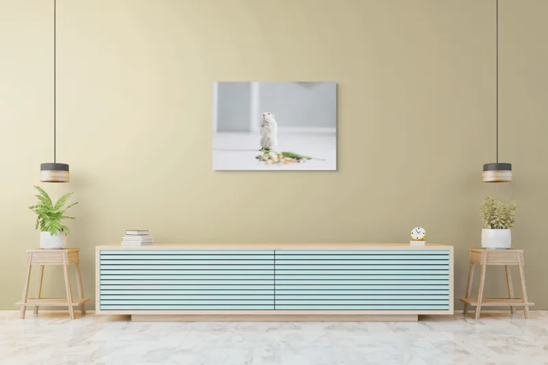 Tablou Canvas, "Un hamster explorând împrejurimile casei", Neștiind Cine Este, Mic, Blănos, Isteț, Curios, Delicat, Drăguț, Fragil, Alb, Șoricesc., 100 x 70 cm – poza 4