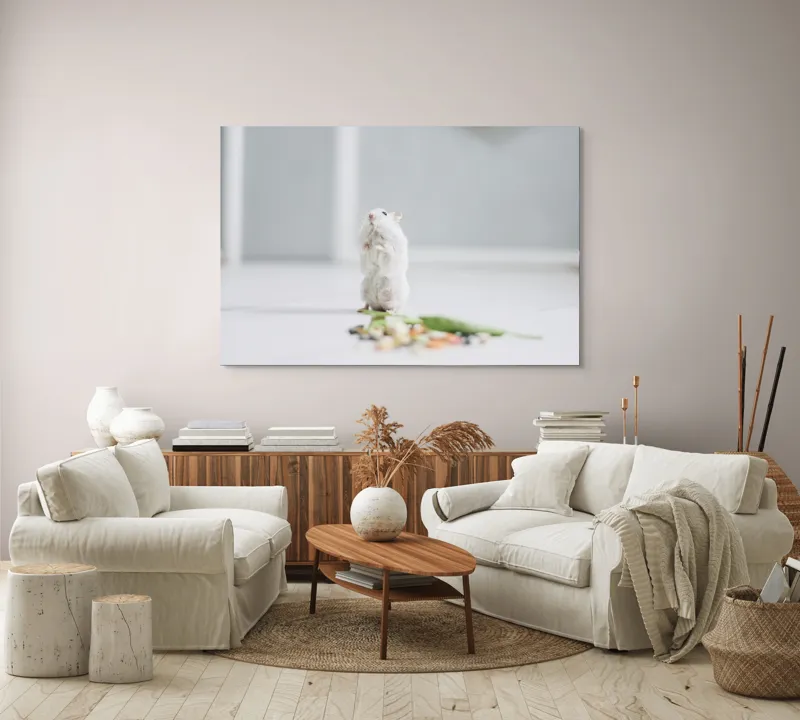 Tablou Canvas, "Un hamster explorând împrejurimile casei", Neștiind Cine Este, Mic, Blănos, Isteț, Curios, Delicat, Drăguț, Fragil, Alb, Șoricesc., 150 x 100 cm – poza 3