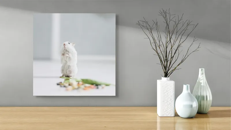 Tablou Canvas, "Un hamster explorând împrejurimile casei", Neștiind Cine Este, Mic, Blănos, Isteț, Curios, Delicat, Drăguț, Fragil, Alb, Șoricesc., 50 x 50 cm – poza 3