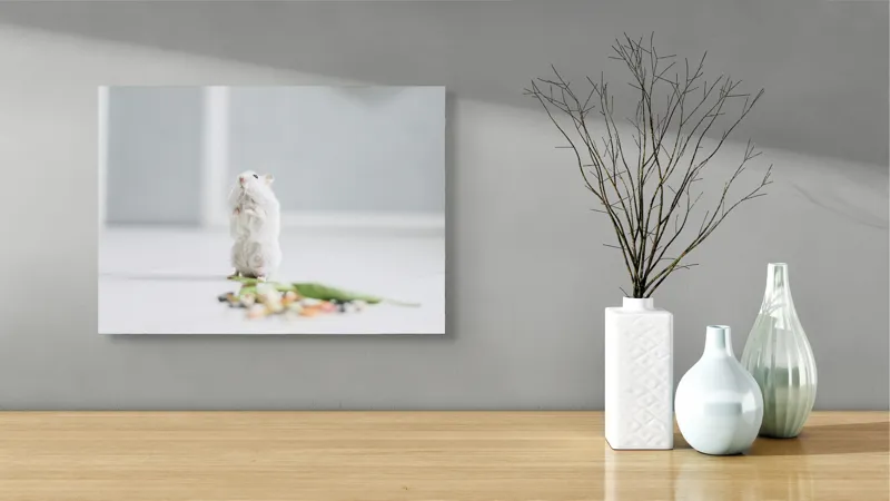 Tablou Canvas, "Un hamster explorând împrejurimile casei", Neștiind Cine Este, Mic, Blănos, Isteț, Curios, Delicat, Drăguț, Fragil, Alb, Șoricesc., 54 x 39 cm – poza 3