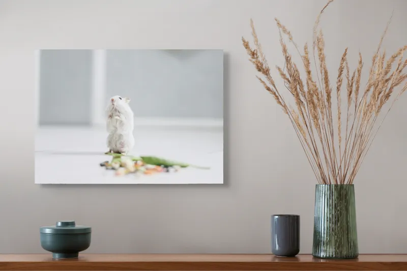 Tablou Canvas, "Un hamster explorând împrejurimile casei", Neștiind Cine Este, Mic, Blănos, Isteț, Curios, Delicat, Drăguț, Fragil, Alb, Șoricesc., 54 x 39 cm – poza 4