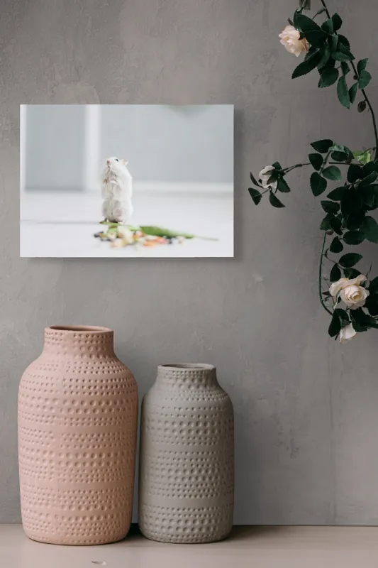 Tablou Canvas, "Un hamster explorând împrejurimile casei", Neștiind Cine Este, Mic, Blănos, Isteț, Curios, Delicat, Drăguț, Fragil, Alb, Șoricesc., 54 x 39 cm – poza 8