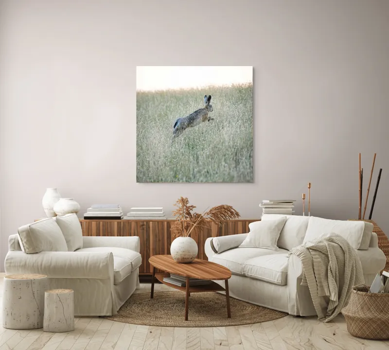 Tablou Canvas, "Iepure sărind prin iarba înaltă", Iepure, Săritor, Pajiște, Natură, Verde, Blană, Urechi, Lumină, Culoare, 100 x 100 cm – poza 3