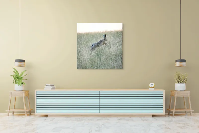 Tablou Canvas, "Iepure sărind prin iarba înaltă", Iepure, Săritor, Pajiște, Natură, Verde, Blană, Urechi, Lumină, Culoare, 100 x 100 cm – poza 5