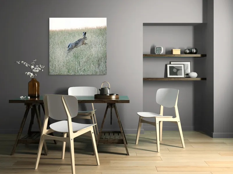 Tablou Canvas, "Iepure sărind prin iarba înaltă", Iepure, Săritor, Pajiște, Natură, Verde, Blană, Urechi, Lumină, Culoare, 100 x 100 cm – poza 6
