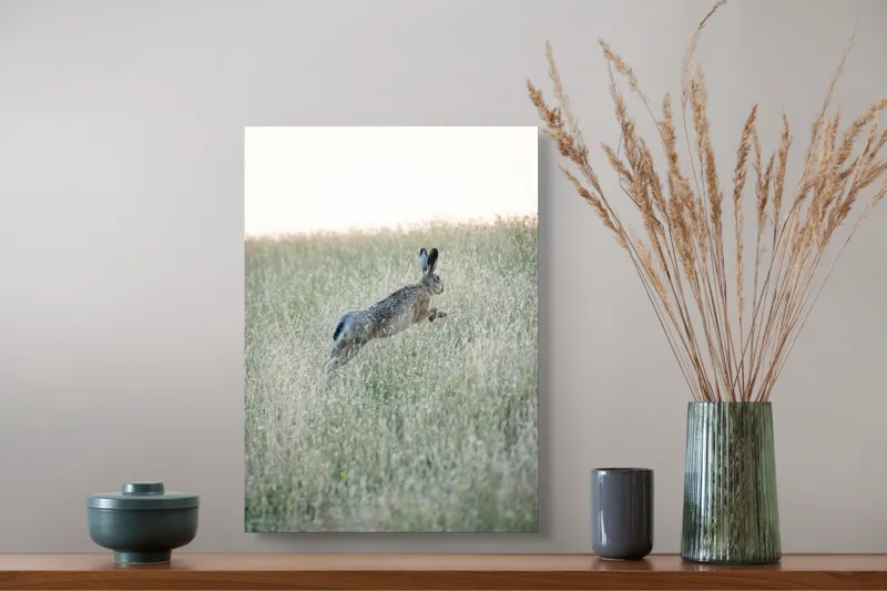 Tablou Canvas, "Iepure sărind prin iarba înaltă", Iepure, Săritor, Pajiște, Natură, Verde, Blană, Urechi, Lumină, Culoare, 39 x 54 cm – poza 3