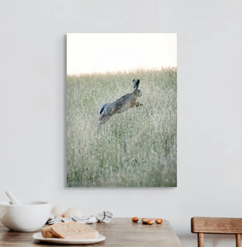 Tablou Canvas, "Iepure sărind prin iarba înaltă", Iepure, Săritor, Pajiște, Natură, Verde, Blană, Urechi, Lumină, Culoare, 50 x 70 cm – poza 3
